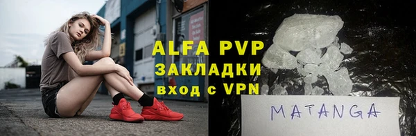 твердый Ельня