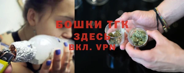 твердый Ельня
