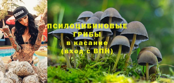 кристаллы Елизово