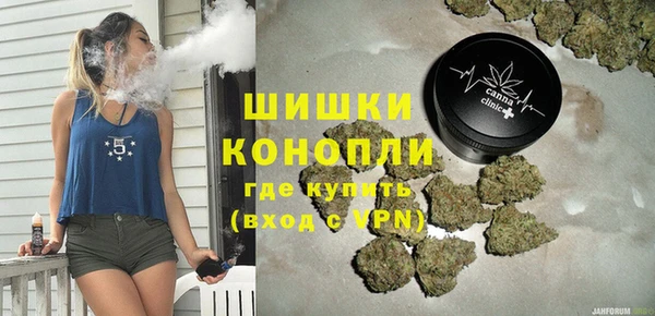 твердый Ельня