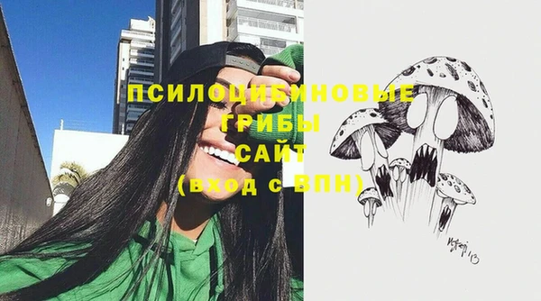 мдпв Заволжье
