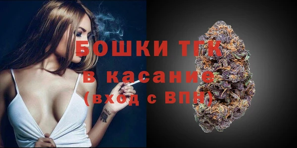 твердый Ельня