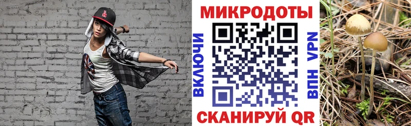 Галлюциногенные грибы MAGIC MUSHROOMS  Ирбит 